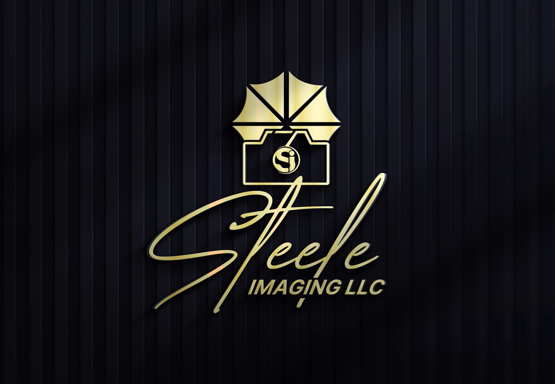 Steele Imaging Logo with black background